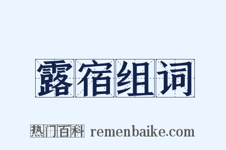 露宿组词是什么意思的图片